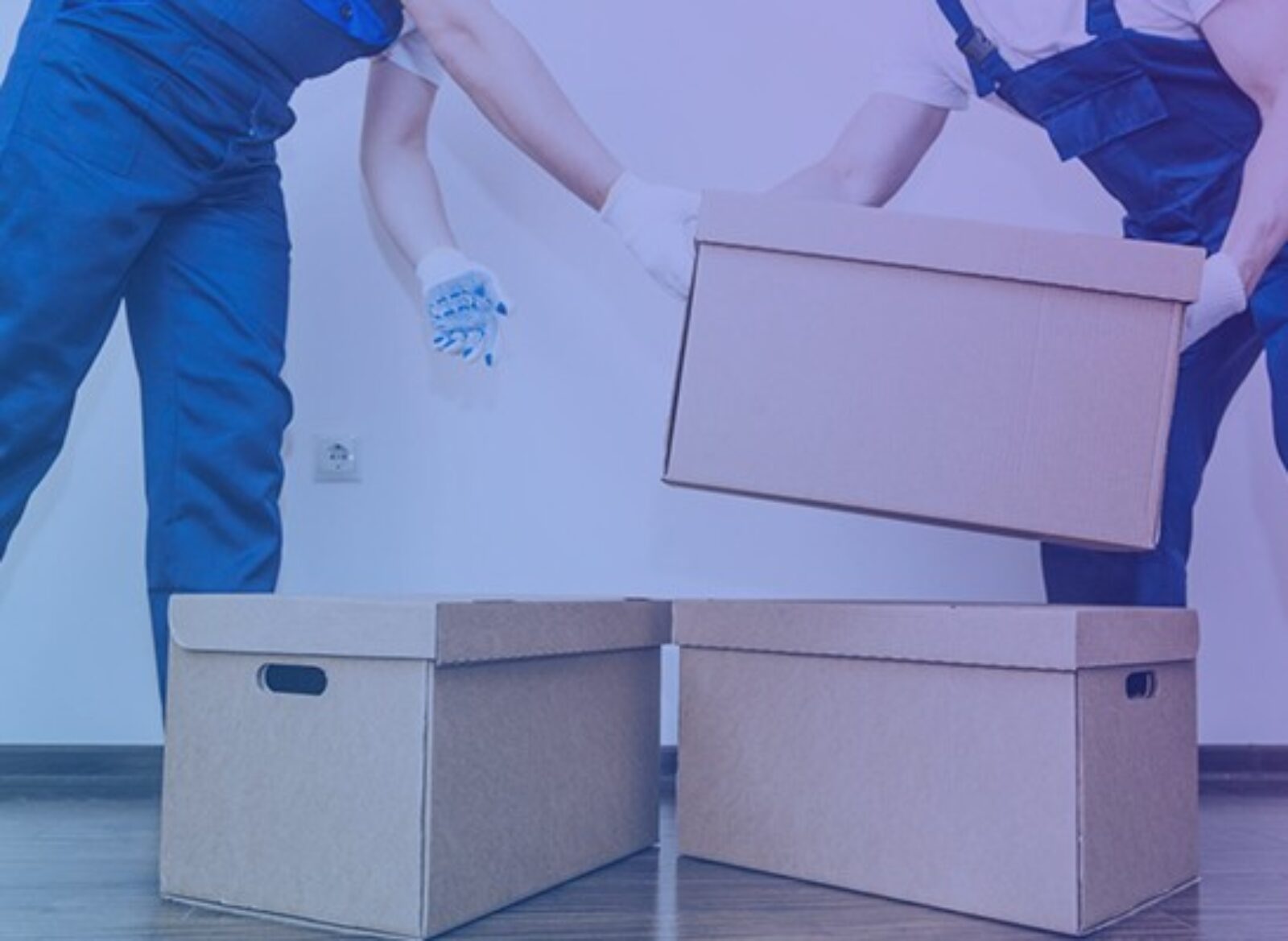 How To Get Instant Leads With Your Moving Company Website Design
