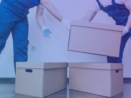 How To Get Instant Leads With Your Moving Company Website Design